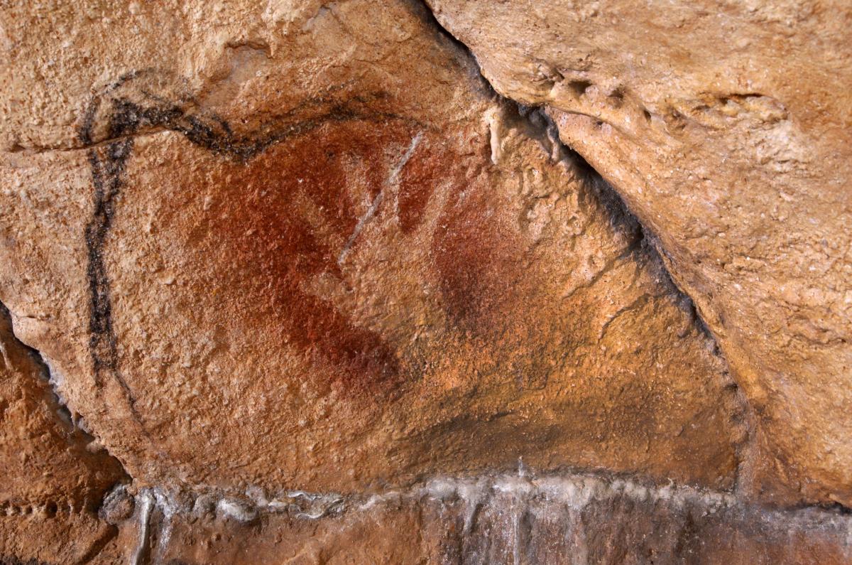 Chauvet Cave Painting - Hand