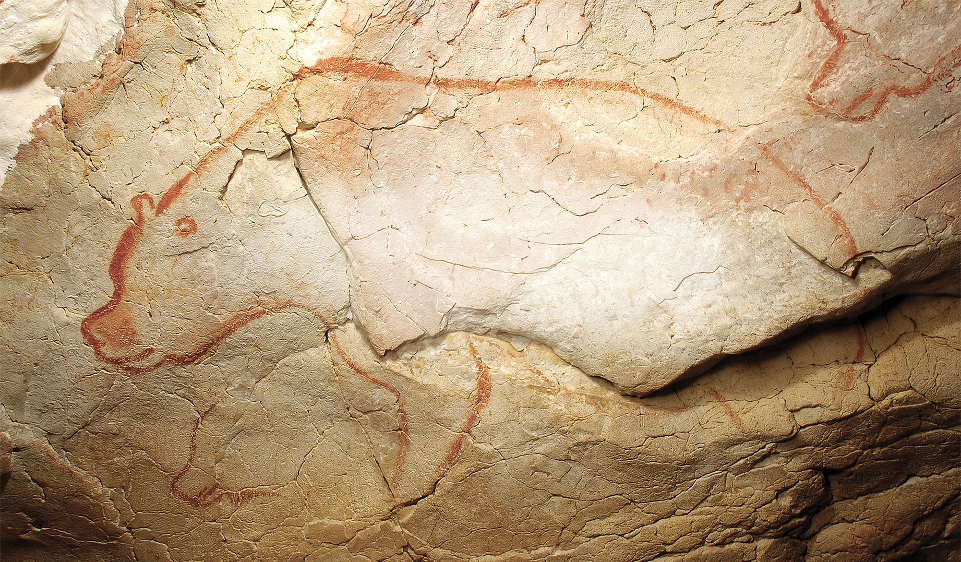Chauvet Cave Painting - Hippo