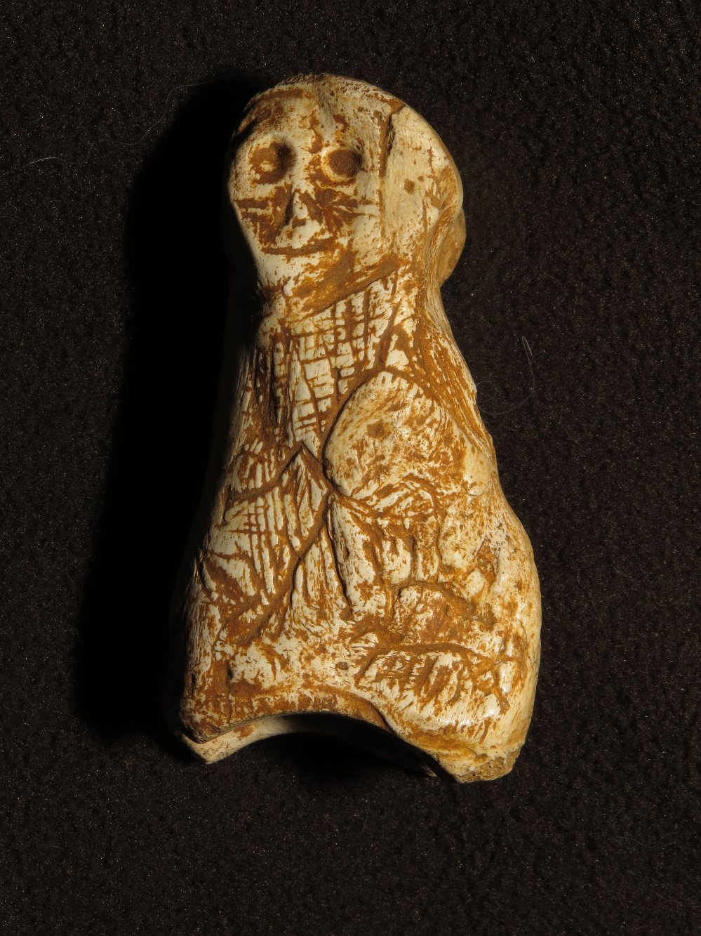 Enigmatic Paleolithic Carving in Bone from Grotte de Foissac