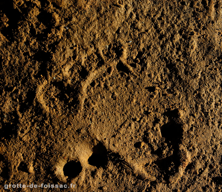 A child’s footprint from 20,000 years ago.