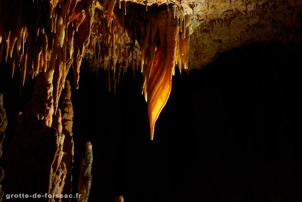Cave Bacon