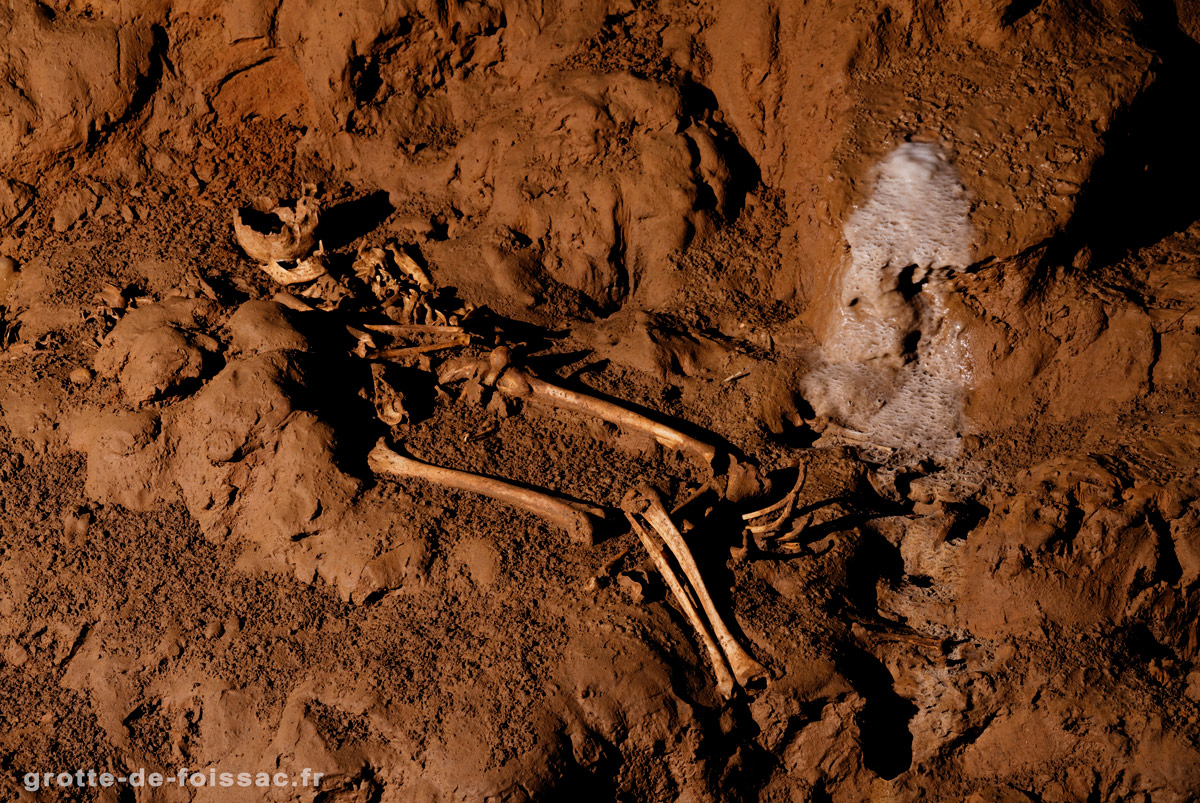 Skeleton